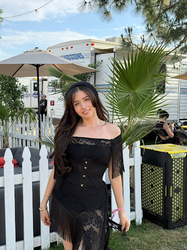 What’s The Real Pokimane Net Worth
