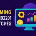 What Are Gaming Vivid2201 Patches